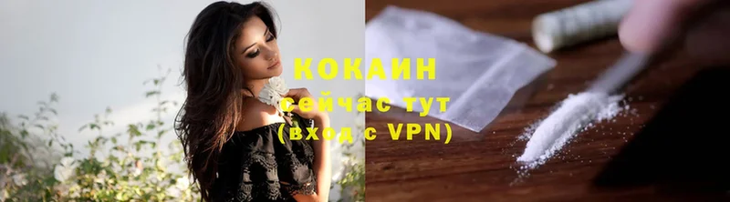 Cocaine FishScale  купить   Новоалтайск 